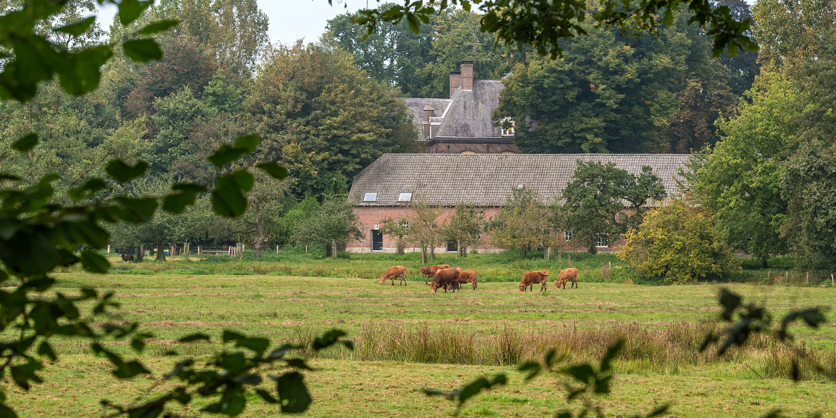 Brabants Landschap