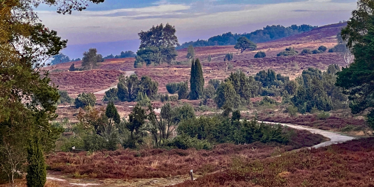 Landschap Overijssel
