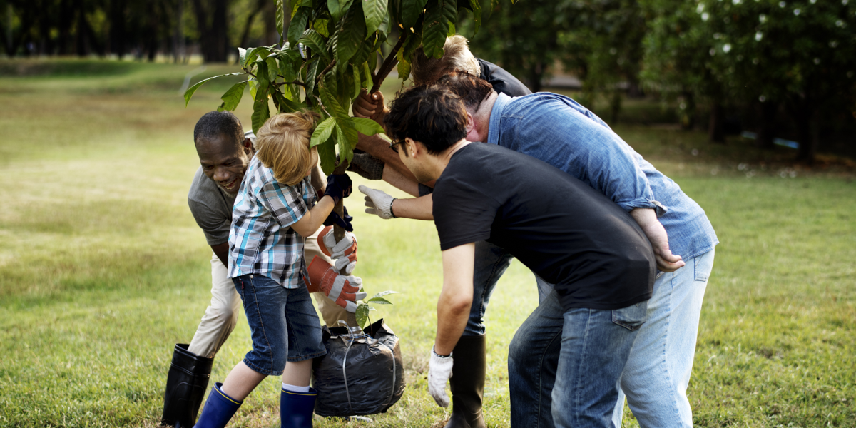 Natuur en Milieu Overijssel